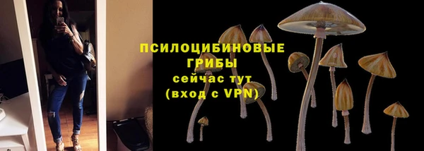 мяу мяу кристалл Арсеньев