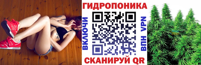 Купить где  Темников  Конопля MAZAR 